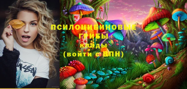 сатива Арсеньев