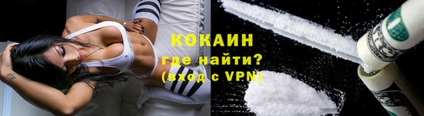 сатива Арсеньев