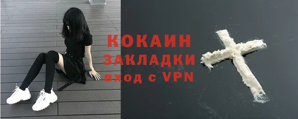 сатива Арсеньев