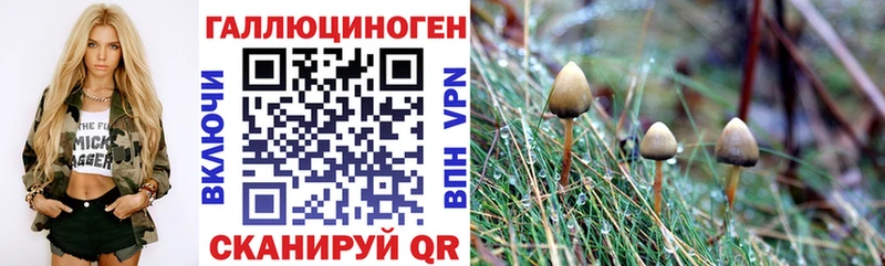 Купить Болхов Галлюциногенные грибы Magic Shrooms